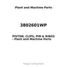3802601WP - PISTON, CLIPS, PIN & RINGS