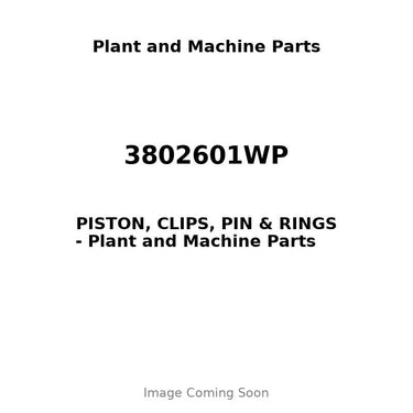 3802601WP - PISTON, CLIPS, PIN & RINGS