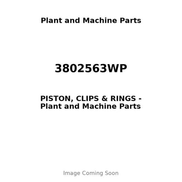 3802563WP - PISTON, CLIPS & RINGS