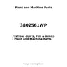 3802561WP - PISTON, CLIPS, PIN & RINGS