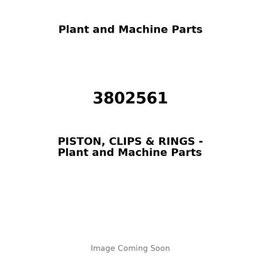 3802561 - PISTON, CLIPS & RINGS