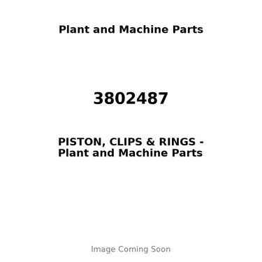 3802487 - PISTON, CLIPS & RINGS