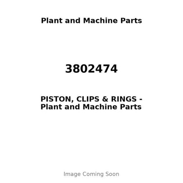 3802474 - PISTON, CLIPS & RINGS