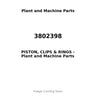 3802398 - PISTON, CLIPS & RINGS