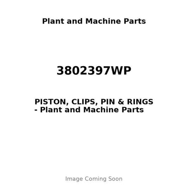 3802397WP - PISTON, CLIPS, PIN & RINGS