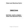 3802344 - PISTON, CLIPS & RINGS