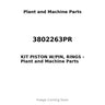 3802263PR - KIT PISTON W/PIN, RINGS