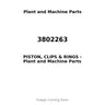 3802263 - PISTON, CLIPS & RINGS
