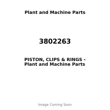 3802263 - PISTON, CLIPS & RINGS