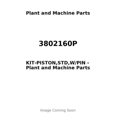 3802160P - KIT-PISTON,STD,W/PIN