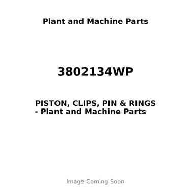 3802134WP - PISTON, CLIPS, PIN & RINGS