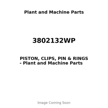 3802132WP - PISTON, CLIPS, PIN & RINGS