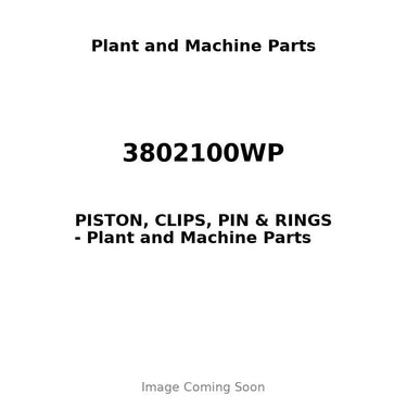 3802100WP - PISTON, CLIPS, PIN & RINGS