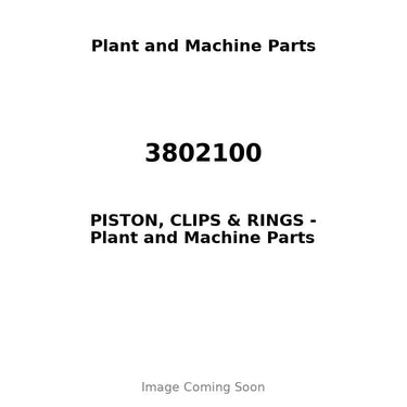 3802100 - PISTON, CLIPS & RINGS