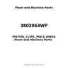 3802064WP - PISTON, CLIPS, PIN & RINGS