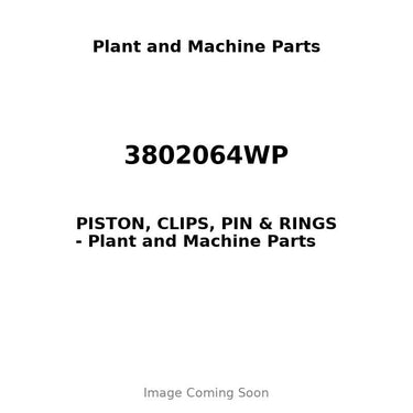 3802064WP - PISTON, CLIPS, PIN & RINGS