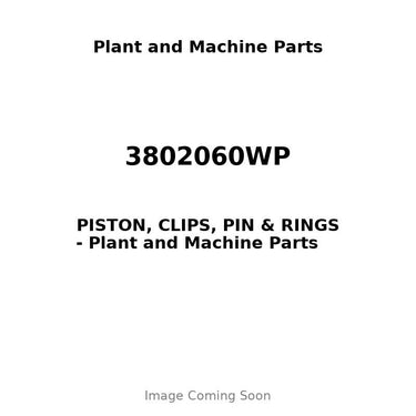 3802060WP - PISTON, CLIPS, PIN & RINGS