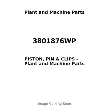 3801876WP - PISTON, PIN & CLIPS