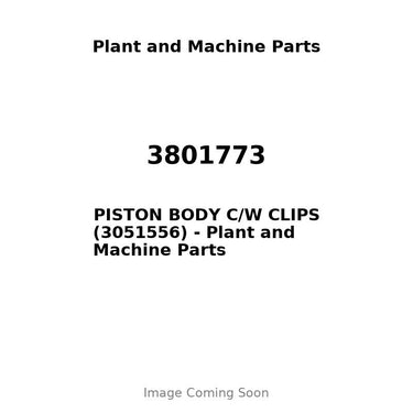 3801773 - PISTON BODY C/W CLIPS (3051556)