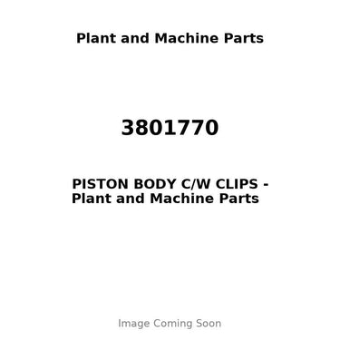 3801770 - PISTON BODY C/W CLIPS