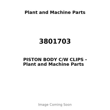 3801703 - PISTON BODY C/W CLIPS
