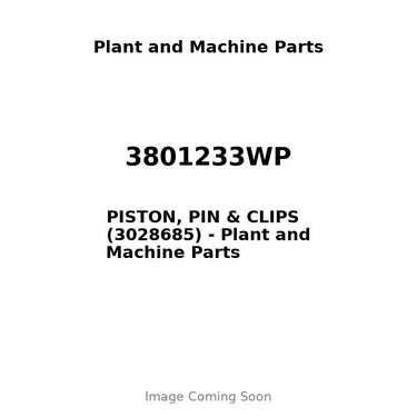 3801233WP - PISTON, PIN & CLIPS (3028685)