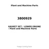 3800929 - GASKET SET - LOWER ENGINE