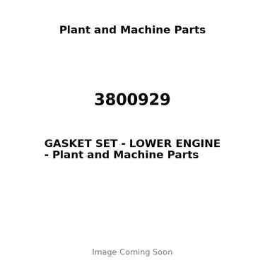 3800929 - GASKET SET - LOWER ENGINE