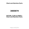 3800879 - PISTON, CLIPS & RINGS