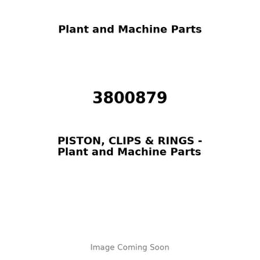 3800879 - PISTON, CLIPS & RINGS