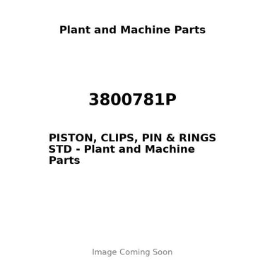 3800781P - PISTON, CLIPS, PIN & RINGS STD