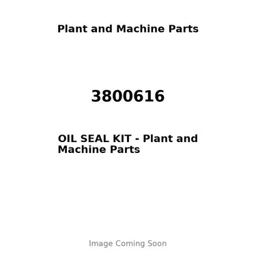 3800616 - OIL SEAL KIT
