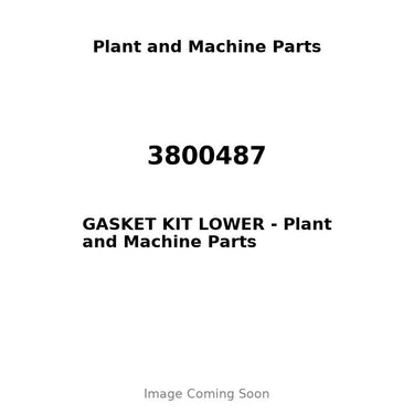 3800487 - GASKET KIT LOWER
