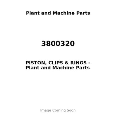 3800320 - PISTON, CLIPS & RINGS