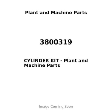 3800319 - CYLINDER KIT