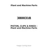 3800318 - PISTON, CLIPS & RINGS