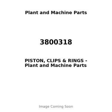 3800318 - PISTON, CLIPS & RINGS