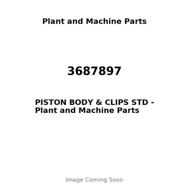 3687897 - PISTON BODY & CLIPS STD