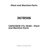 3678506 - CAPSCREW CYL HEAD