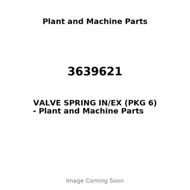 3639621 - VALVE SPRING IN/EX (PKG 6)
