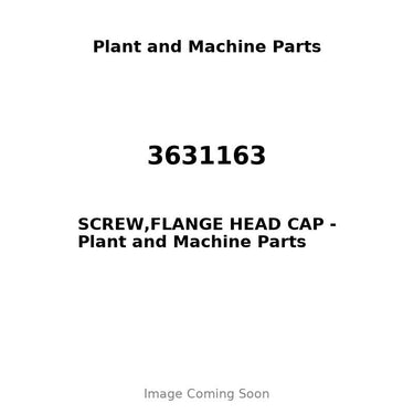 3631163 - SCREW,FLANGE HEAD CAP