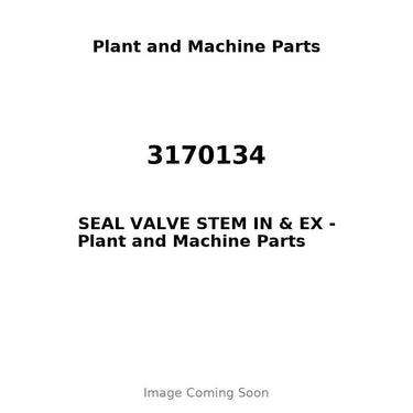 3170134 - SEAL VALVE STEM IN & EX