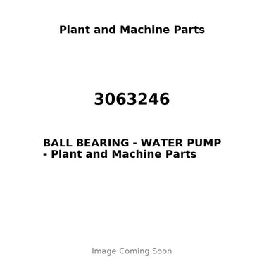 3063246 - BALL BEARING - WATER PUMP