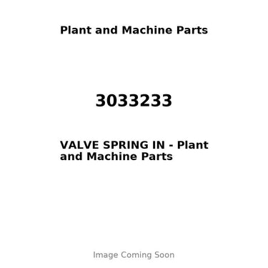 3033233 - VALVE SPRING IN