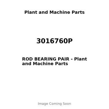 3016760P - ROD BEARING PAIR