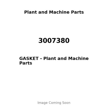 3007380 - GASKET