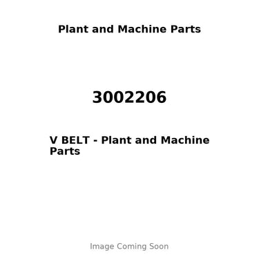 3002206 - V BELT
