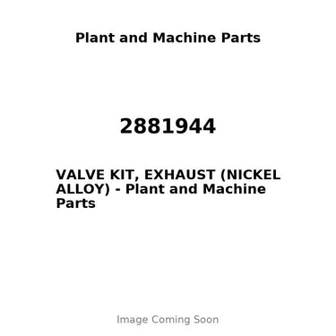 2881944 - VALVE KIT, EXHAUST (NICKEL ALLOY)