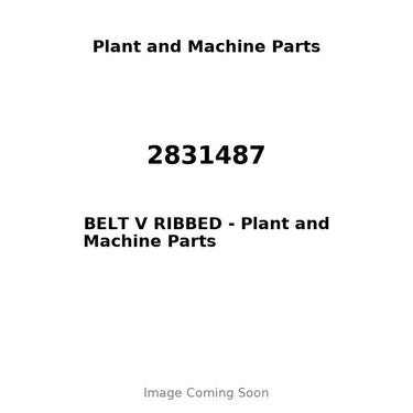 2831487 - BELT V RIBBED