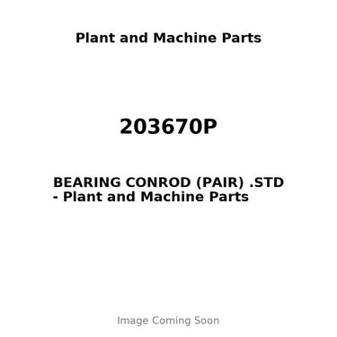 203670P - BEARING CONROD (PAIR) .STD